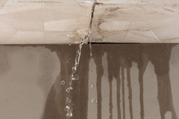 Professional Water Damage Repair technician working in Virginia, VA